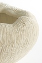 Vase Deco  Denisa Cream