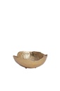 Dish  Hazal Light Gold