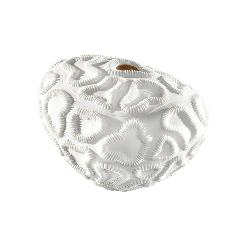 Lithos - Fossilia Porcelain Box, White