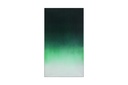 Chromatic
Wall Art
(Envy)