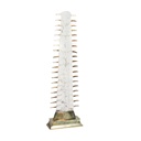 Ice-Resin Sawbill Sculpture 