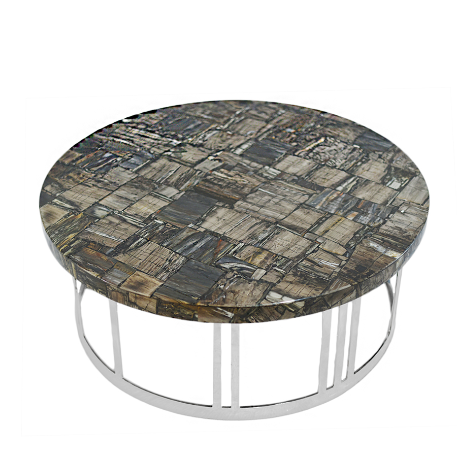 Petrified Wood Coffee Table
