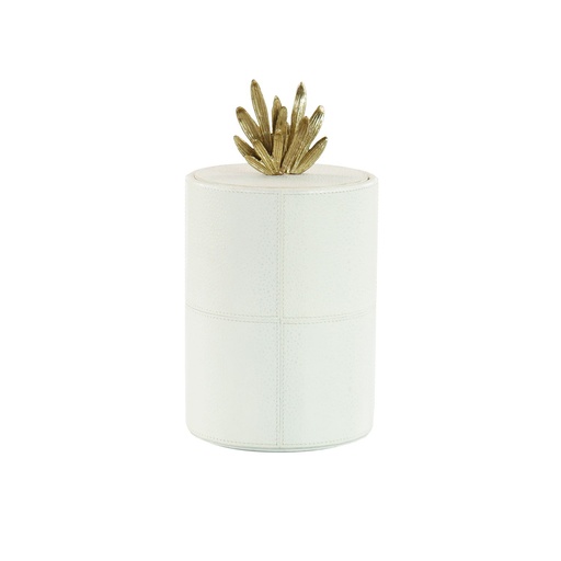 [107012402] Bianca Cylinder Box, Small

 (Clear/Gold,155X155 CM, Gold Coast)