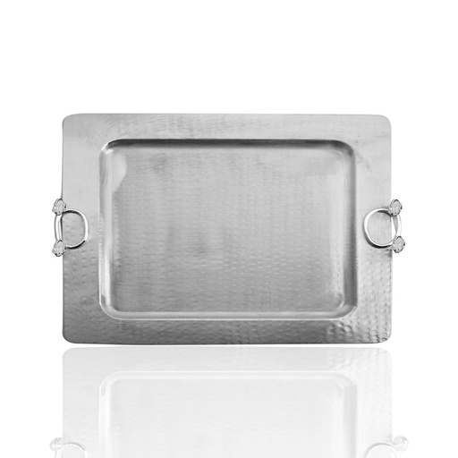 [102004400] Hdtn Square Tray (Clear/Red,10x24H CM, Crystal)